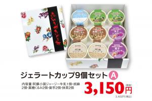 熊本あいす ジェラートカップ9個入りギフト