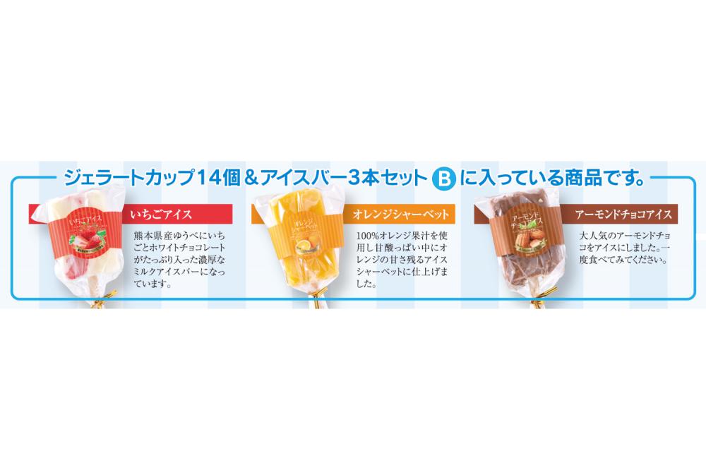 熊本あいす　ジェラートカップ14個&アイスバー3本セット