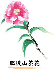 肥後山茶花